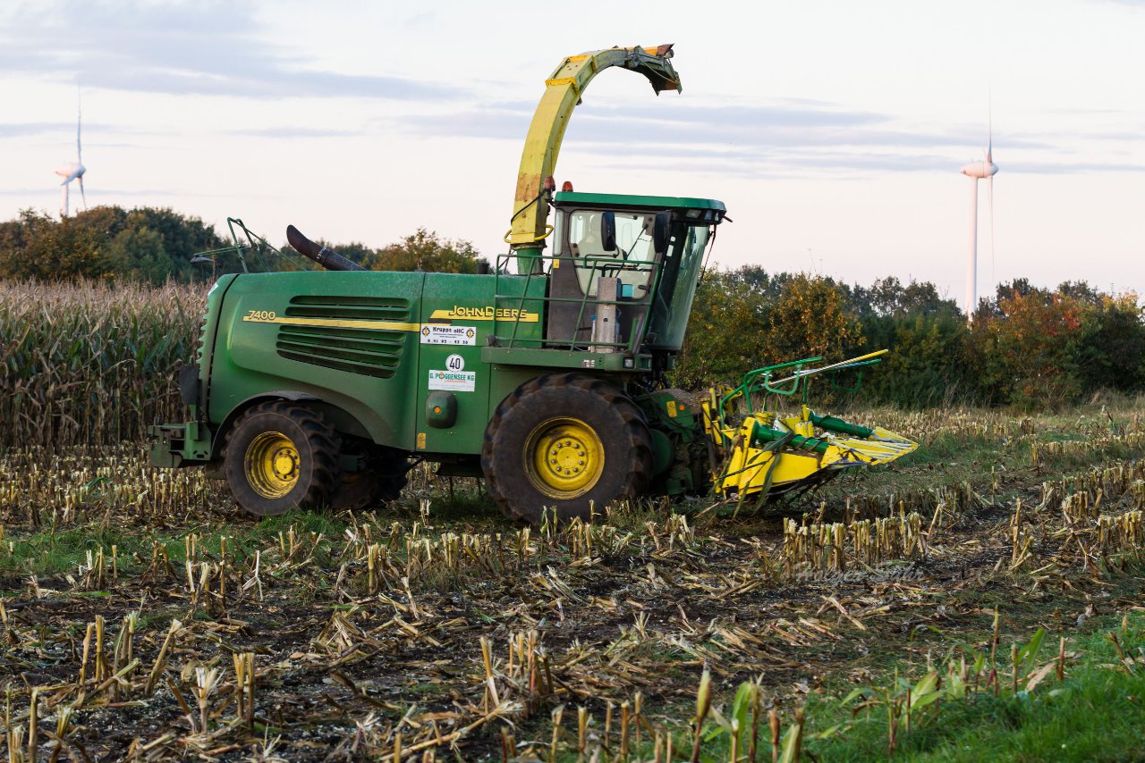 Bild 26 - Maisernte am 11.10.12